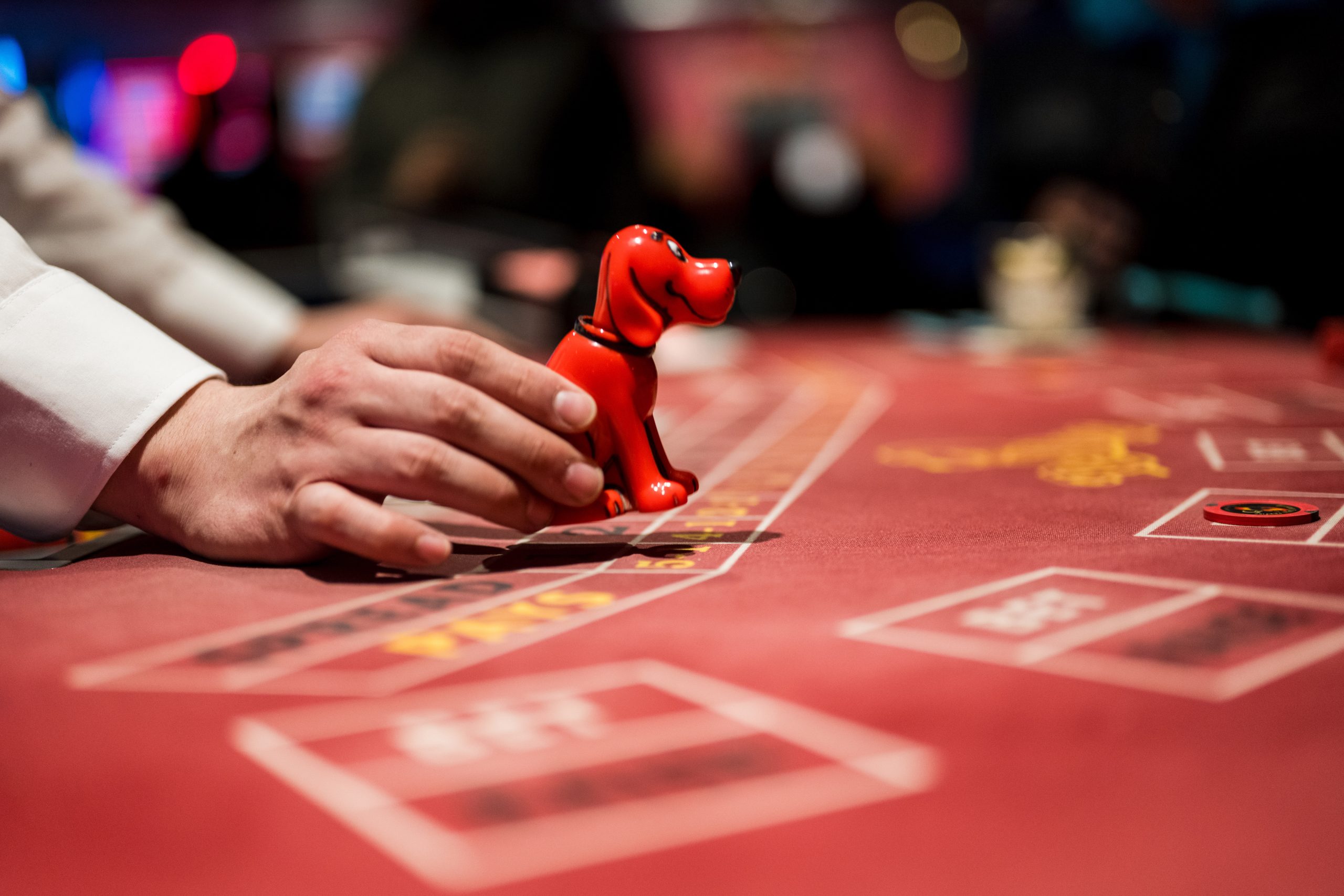 panduan red dog kasino offline